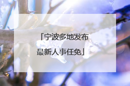 宁波多地发布最新人事任免