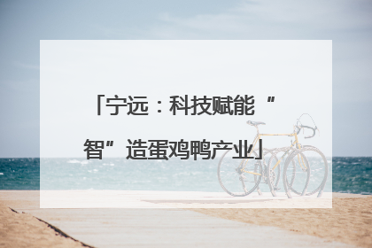 宁远：科技赋能“智”造蛋鸡鸭产业