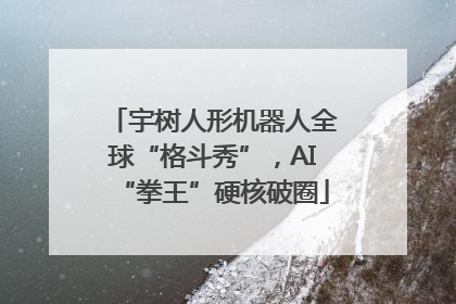 宇树人形机器人全球“格斗秀”，AI“拳王”硬核破圈