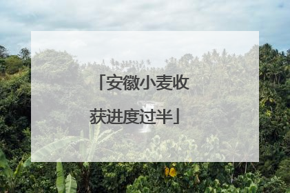 安徽小麦收获进度过半