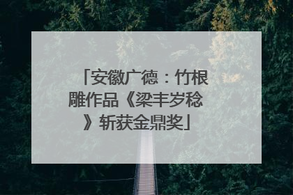 安徽广德：竹根雕作品《梁丰岁稔》斩获金鼎奖