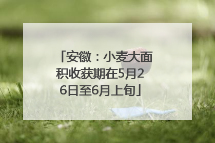 安徽：小麦大面积收获期在5月26日至6月上旬