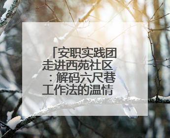 安职实践团走进西苑社区：解码六尺巷工作法的温情治理之道