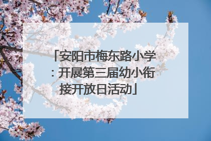 安阳市梅东路小学：开展第三届幼小衔接开放日活动