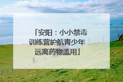 安阳：小小禁毒训练营护航青少年远离药物滥用