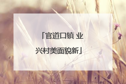 官道口镇 业兴村美面貌新