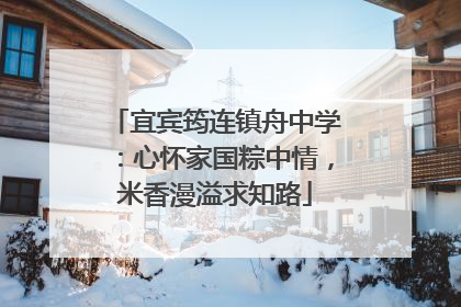 宜宾筠连镇舟中学：心怀家国粽中情，米香漫溢求知路