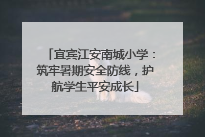 宜宾江安南城小学：筑牢暑期安全防线，护航学生平安成长