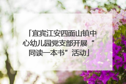 宜宾江安四面山镇中心幼儿园党支部开展“同读一本书”活动