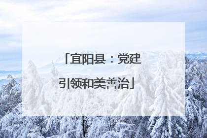宜阳县：党建引领和美善治