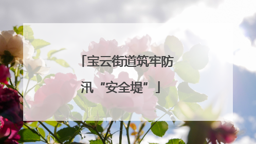 宝云街道筑牢防汛“安全堤”