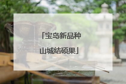 宝岛新品种 山城结硕果
