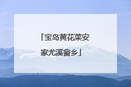 宝岛黄花菜安家尤溪畲乡