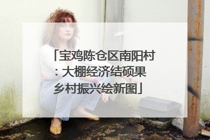 宝鸡陈仓区南阳村：大棚经济结硕果 乡村振兴绘新图