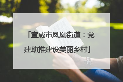 宣威市凤凰街道：党建助推建设美丽乡村
