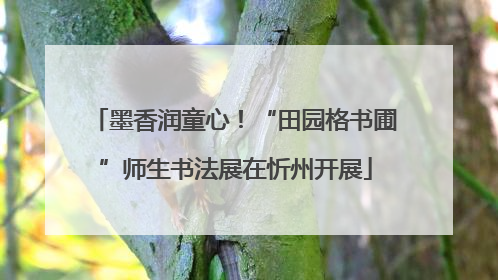 墨香润童心！“田园格书圃”师生书法展在忻州开展