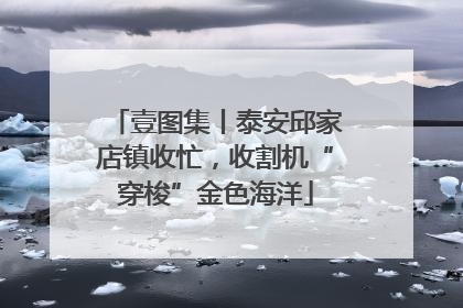壹图集丨泰安邱家店镇收忙，收割机“穿梭”金色海洋
