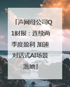 声网母公司Q1财报：连续两季度盈利 加速对话式AI场景落地