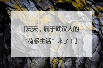 夏天，属于武汉人的“荷系生活”来了！