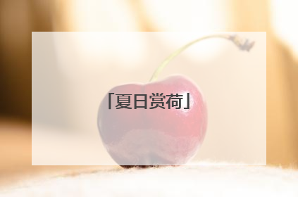 夏日赏荷