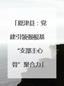 夏津县：党建引领强根基 “支部主心骨”聚合力