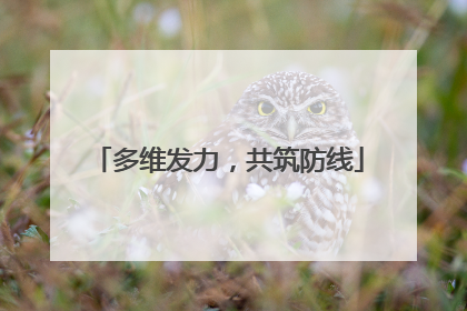 多维发力，共筑防线