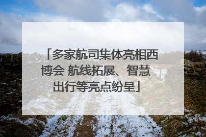 多家航司集体亮相西博会 航线拓展、智慧出行等亮点纷呈