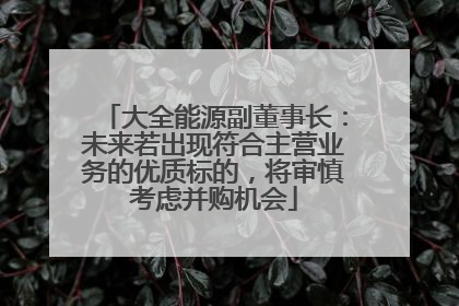 大全能源副董事长：未来若出现符合主营业务的优质标的，将审慎考虑并购机会