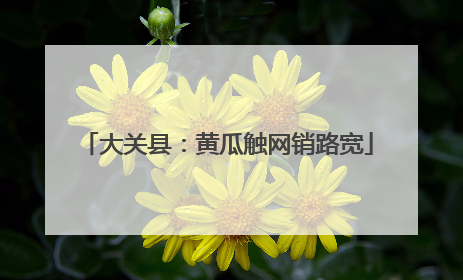 大关县：黄瓜触网销路宽