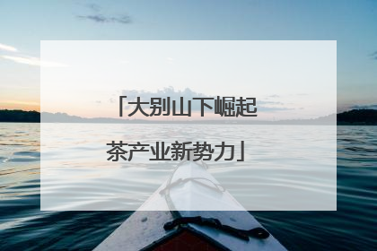 大别山下崛起茶产业新势力
