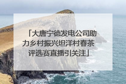 大唐宁德发电公司助力乡村振兴坦洋村春茶评选赛直播引关注