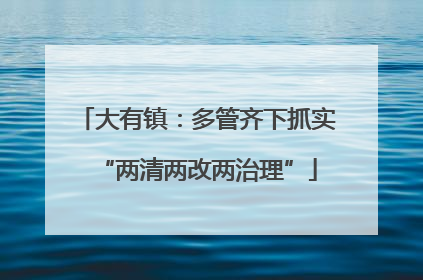 大有镇：多管齐下抓实“两清两改两治理”
