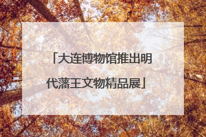 大连博物馆推出明代藩王文物精品展