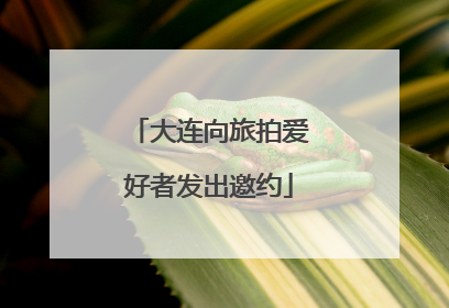 大连向旅拍爱好者发出邀约