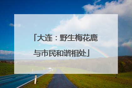 大连：野生梅花鹿与市民和谐相处