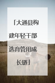 大通县构建年轻干部选育管用成长链