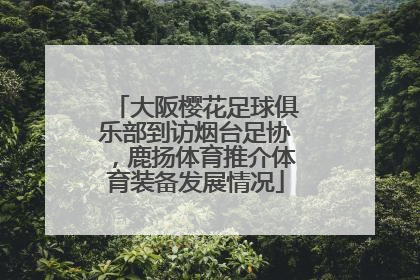 大阪樱花足球俱乐部到访烟台足协，鹿扬体育推介体育装备发展情况