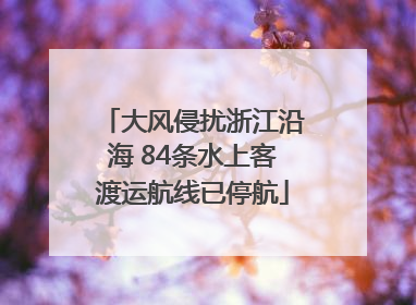 大风侵扰浙江沿海 84条水上客渡运航线已停航