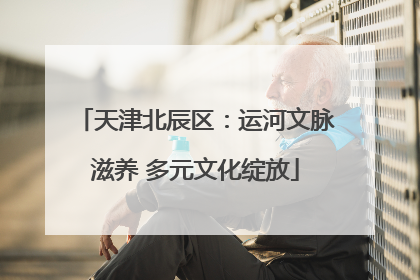 天津北辰区：运河文脉滋养 多元文化绽放