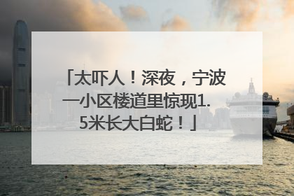 太吓人！深夜，宁波一小区楼道里惊现1.5米长大白蛇！
