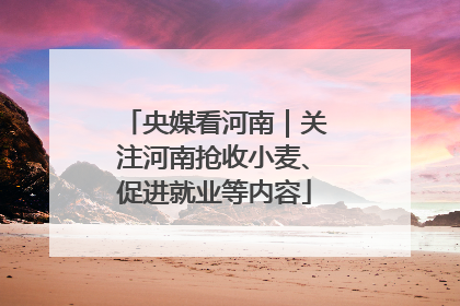 央媒看河南｜关注河南抢收小麦、促进就业等内容