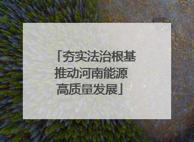 夯实法治根基 推动河南能源高质量发展
