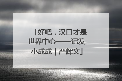 好吧，汉口才是世界中心——记发小成成｜严辉文
