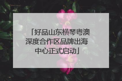 好品山东横琴粤澳深度合作区品牌出海中心正式启动