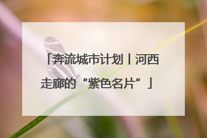 奔流城市计划丨河西走廊的“紫色名片”