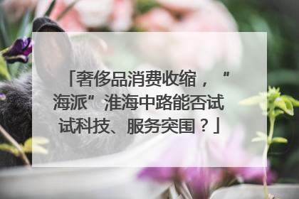奢侈品消费收缩，“海派”淮海中路能否试试科技、服务突围？