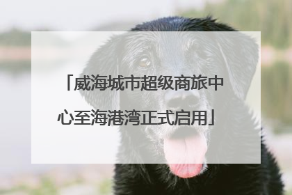 威海城市超级商旅中心至海港湾正式启用