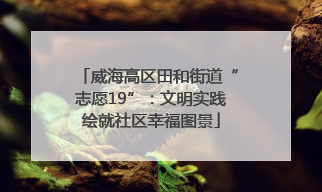 威海高区田和街道“志愿19”：文明实践绘就社区幸福图景
