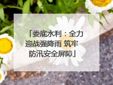 娄底水利：全力迎战强降雨 筑牢防汛安全屏障