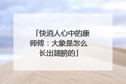 快消人心中的康师傅：大象是怎么长出翅膀的